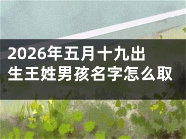 2026年五月十九出生王姓男孩名字怎么取