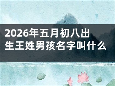 2026年五月初八出生王姓男孩名字叫什么