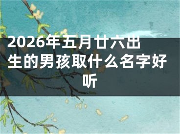 2026年五月廿六出生的男孩取什么名字好听