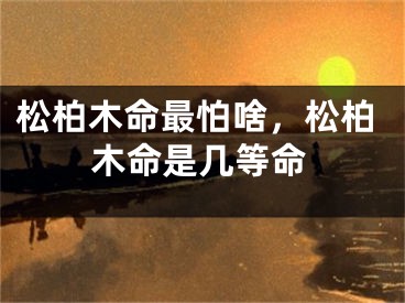 松柏木命最怕啥，松柏木命是几等命