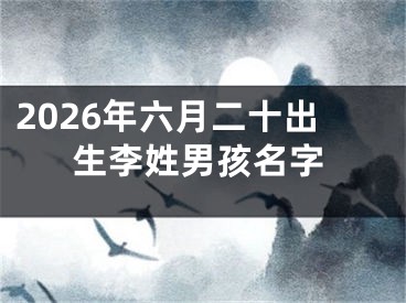 2026年六月二十出生李姓男孩名字