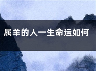 属羊的人一生命运如何