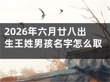 2026年六月廿八出生王姓男孩名字怎么取