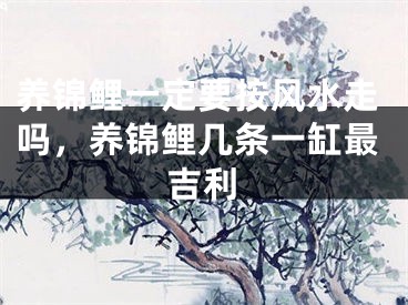 养锦鲤一定要按风水走吗，养锦鲤几条一缸最吉利