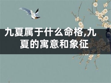 九夏属于什么命格,九夏的寓意和象征