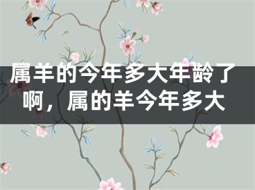 属羊的今年多大年龄了啊,属的羊今年多大