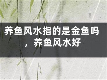 养鱼风水指的是金鱼吗,养鱼风水好