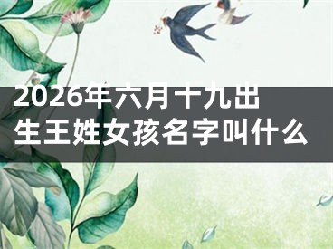 2026年六月十九出生王姓女孩名字叫什么
