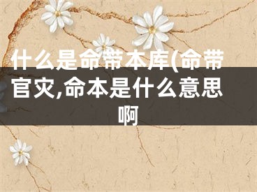 什么是命带本库(命带官灾,命本是什么意思啊