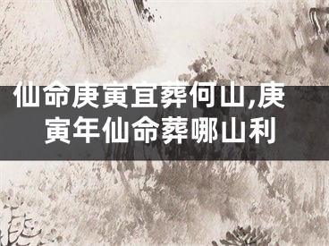 仙命庚寅宜葬何山,庚寅年仙命葬哪山利