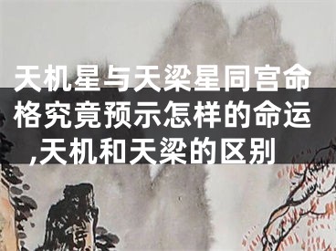 天机星与天梁星同宫命格究竟预示怎样的命运,天机和天梁的区别