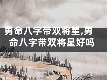 男命八字带双将星,男命八字带双将星好吗
