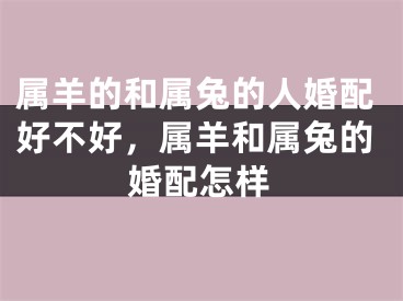 属羊的和属兔的人婚配好不好，属羊和属兔的婚配怎样