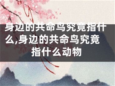 身边的共命鸟究竟指什么,身边的共命鸟究竟指什么动物