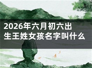 2026年六月初六出生王姓女孩名字叫什么