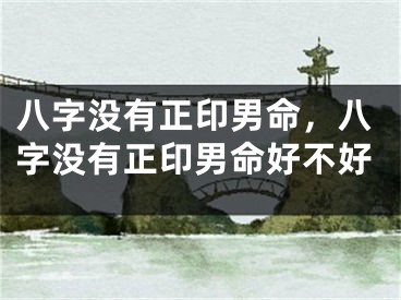 八字没有正印男命，八字没有正印男命好不好