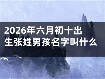 2026年六月初十出生张姓男孩名字叫什么