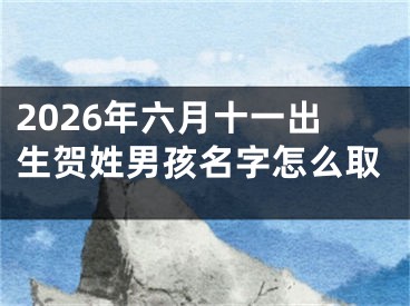 2026年六月十一出生贺姓男孩名字怎么取
