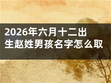 2026年六月十二出生赵姓男孩名字怎么取