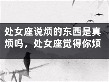 处女座说烦的东西是真烦吗,处女座觉得你烦