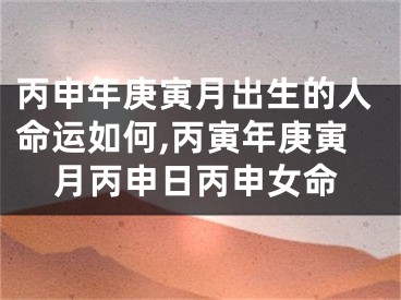丙申年庚寅月出生的人命运如何,丙寅年庚寅月丙申日丙申女命