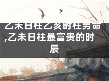 乙未日柱乙亥时柱男命,乙未日柱最富贵的时辰