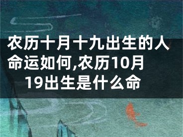 农历十月十九出生的人命运如何,农历10月19出生是什么命