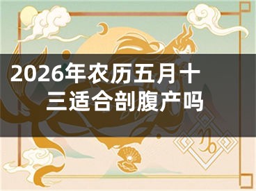 2026年农历五月十三适合剖腹产吗