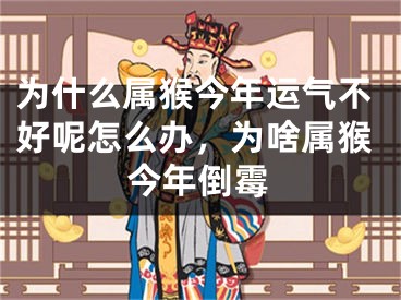为什么属猴今年运气不好呢怎么办，为啥属猴今年倒霉