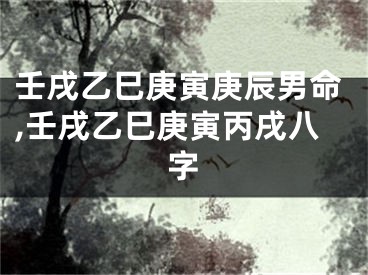 壬戌乙巳庚寅庚辰男命,壬戌乙巳庚寅丙戌八字