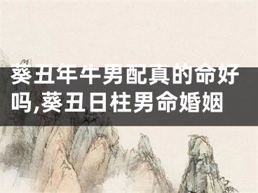 葵丑年牛男配真的命好吗,葵丑日柱男命婚姻