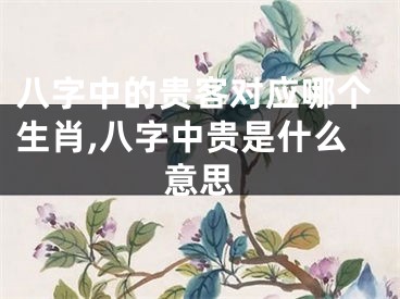 八字中的贵客对应哪个生肖,八字中贵是什么意思