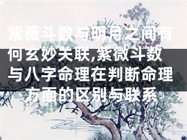 紫薇斗数与明月之间有何玄妙关联,紫微斗数与八字命理在判断命理方面的区别与联系