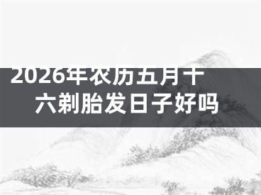 2026年农历五月十六剃胎发日子好吗