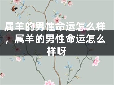 属羊的男性命运怎么样，属羊的男性命运怎么样呀