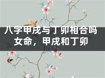 八字甲戌与丁卯相合吗女命，甲戌和丁卯