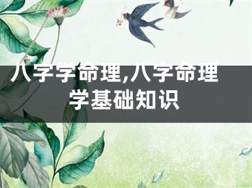 八字学命理,八字命理学基础知识