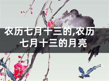农历七月十三的,农历七月十三的月亮
