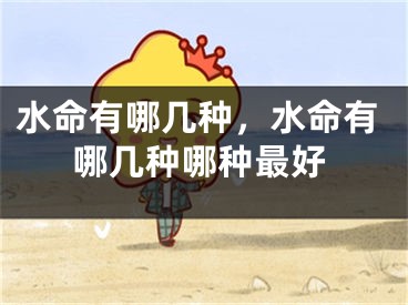 水命有哪几种，水命有哪几种哪种最好