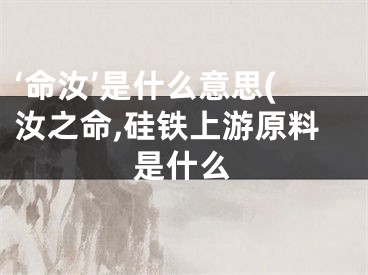 ‘命汝’是什么意思(汝之命,硅铁上游原料是什么