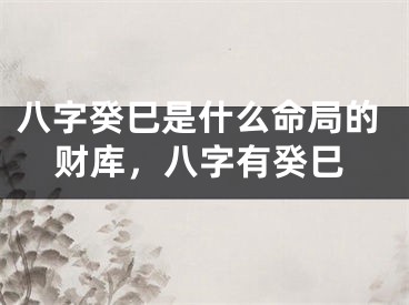 八字癸巳是什么命局的财库,八字有癸巳