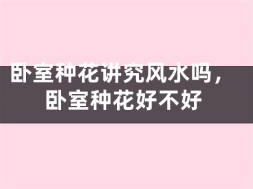 卧室种花讲究风水吗，卧室种花好不好
