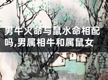 男牛火命与鼠水命相配吗,男属相牛和属鼠女