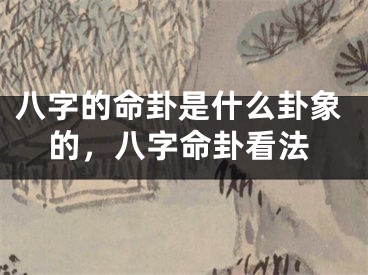 八字的命卦是什么卦象的，八字命卦看法