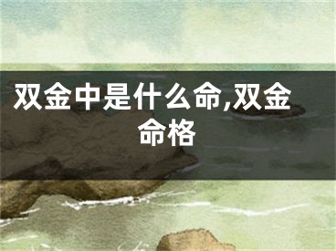 双金中是什么命,双金命格