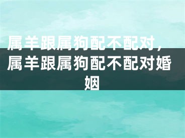 属羊跟属狗配不配对，属羊跟属狗配不配对婚姻