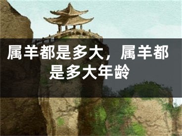 属羊都是多大，属羊都是多大年龄