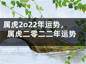 属虎2o22年运势，属虎二零二二年运势