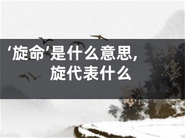 ‘旋命’是什么意思,旋代表什么