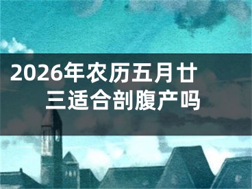 2026年农历五月廿三适合剖腹产吗